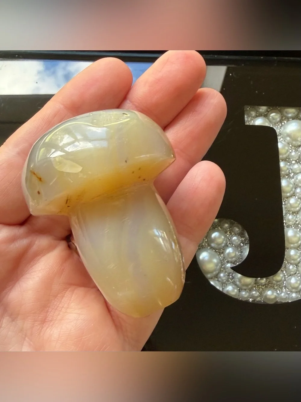 Montana Moss Agate Mushroom Crystal Carving (Palm Stone)